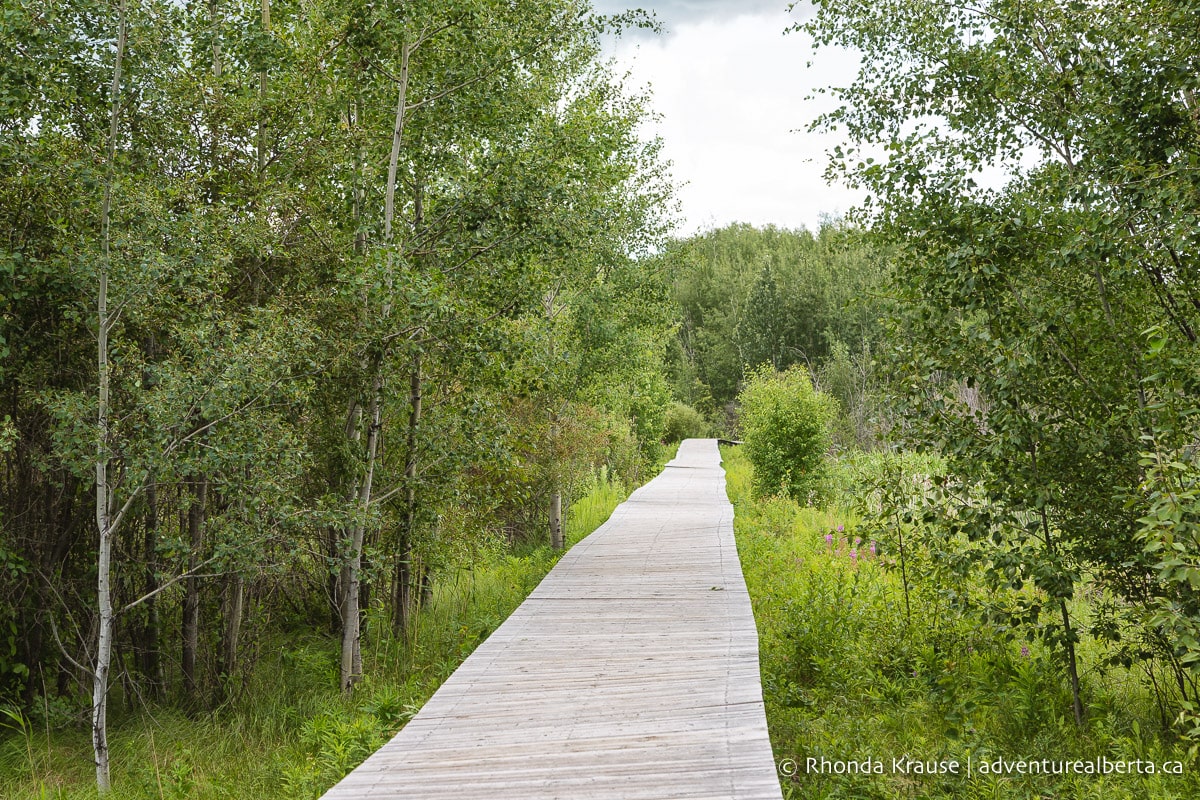 Places To Hike Near Edmonton Best Day Hiking Spots