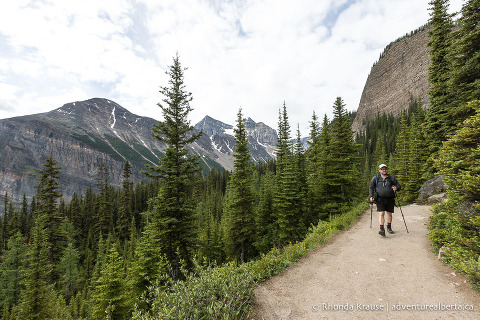 Lake Agnes Tea House Hike Guide To Hiking Lake Agnes Trail