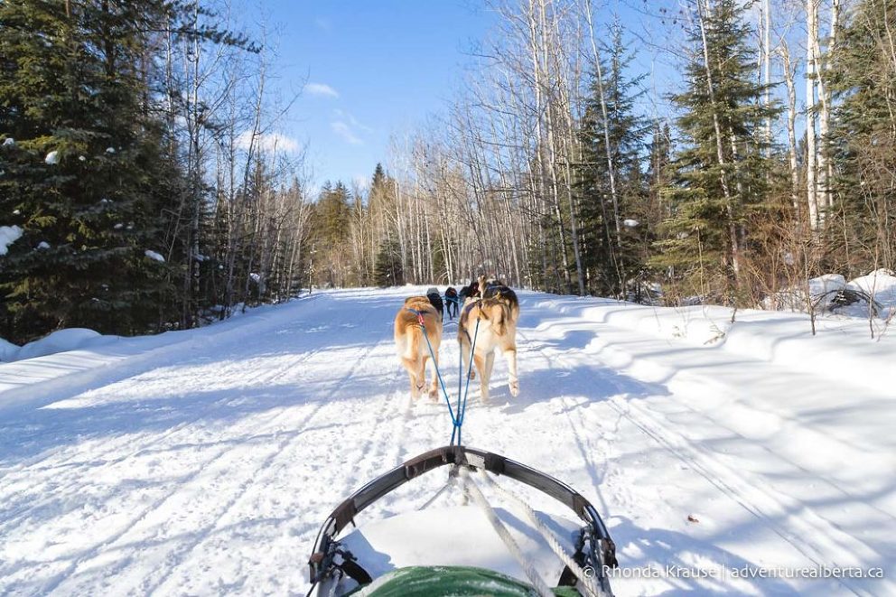 Things To Do In Alberta In Winter- The Best Winter Activities