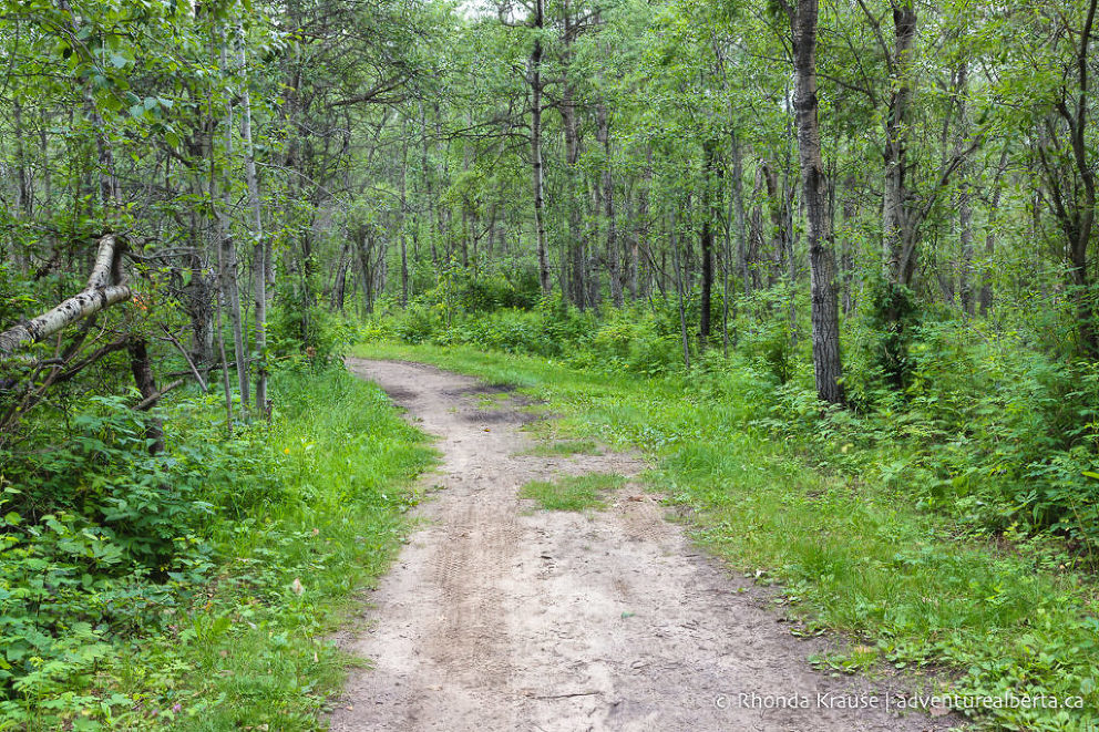 Cooking Lake-Blackfoot Provincial Recreation Area- Visitor Guide