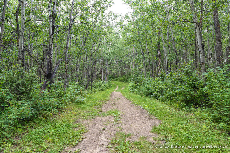 Cooking Lake-Blackfoot Provincial Recreation Area- Visitor Guide