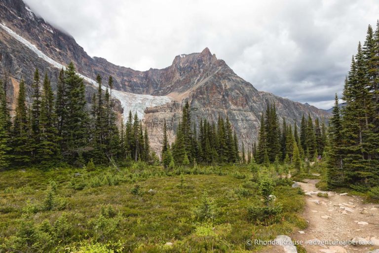 Mt. Edith Cavell Hikes- Path of the Glacier Trail & Cavell Meadows