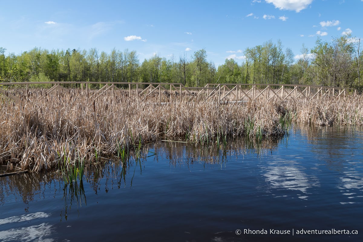 Miquelon Lake Provincial Park Activity and Visitor Guide