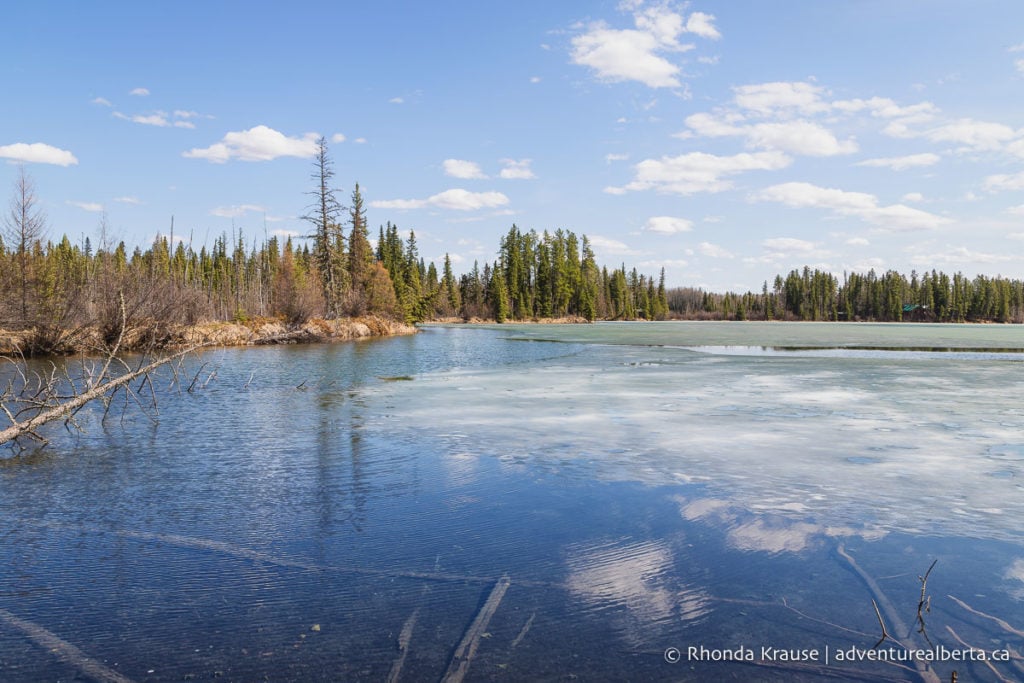 Crimson Lake Provincial Park Activity And Visitor Guide   IMG 9803 Edit Edit 1024x683 