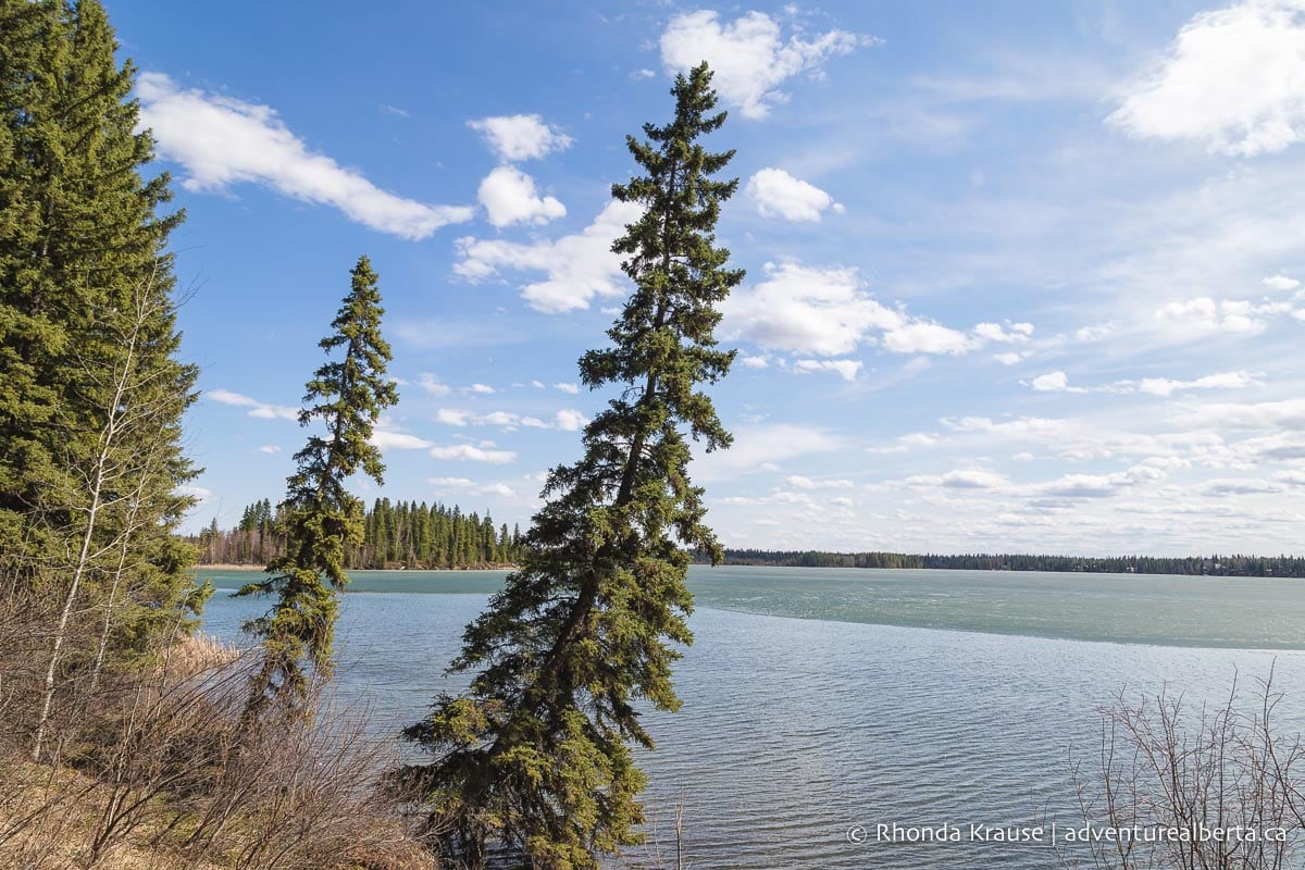 Crimson Lake Provincial Park Activity And Visitor Guide   IMG 9809 Edit Edit 