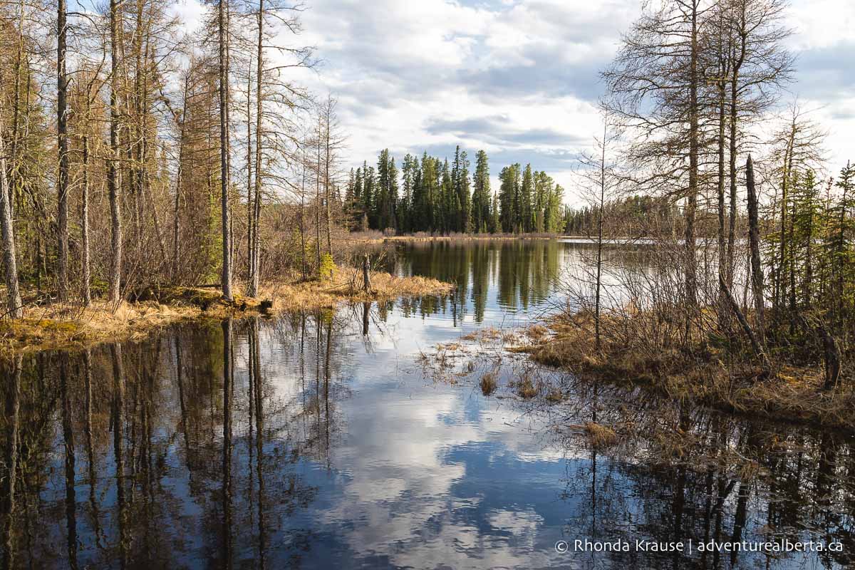 Crimson Lake Provincial Park- Activity and Visitor Guide