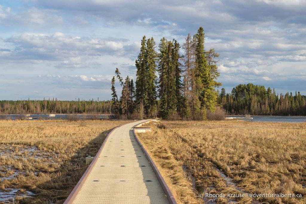 Crimson Lake Provincial Park Activity And Visitor Guide   IMG 9890 Edit Edit 1 1024x683 