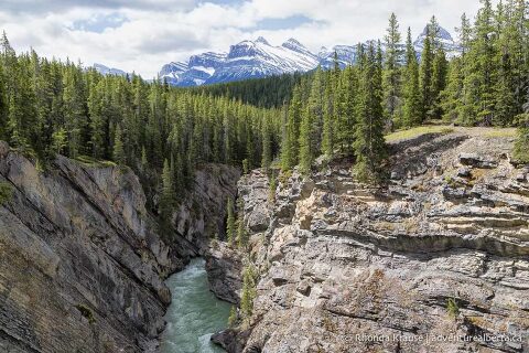 Siffleur Falls Hike- Guide to Hiking Siffleur Falls Trail