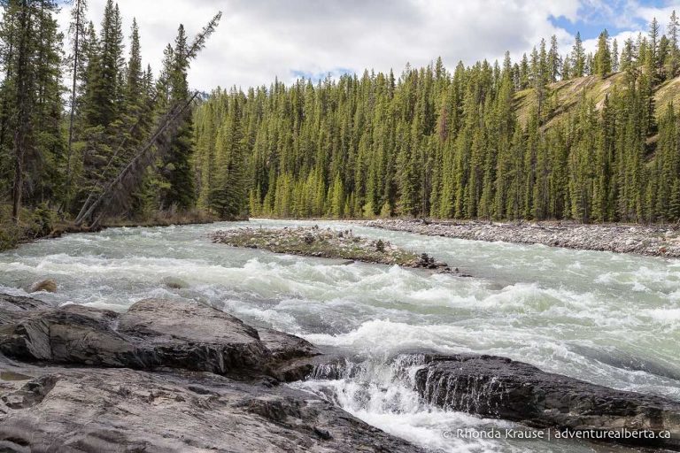 Siffleur Falls Hike- Guide to Hiking Siffleur Falls Trail