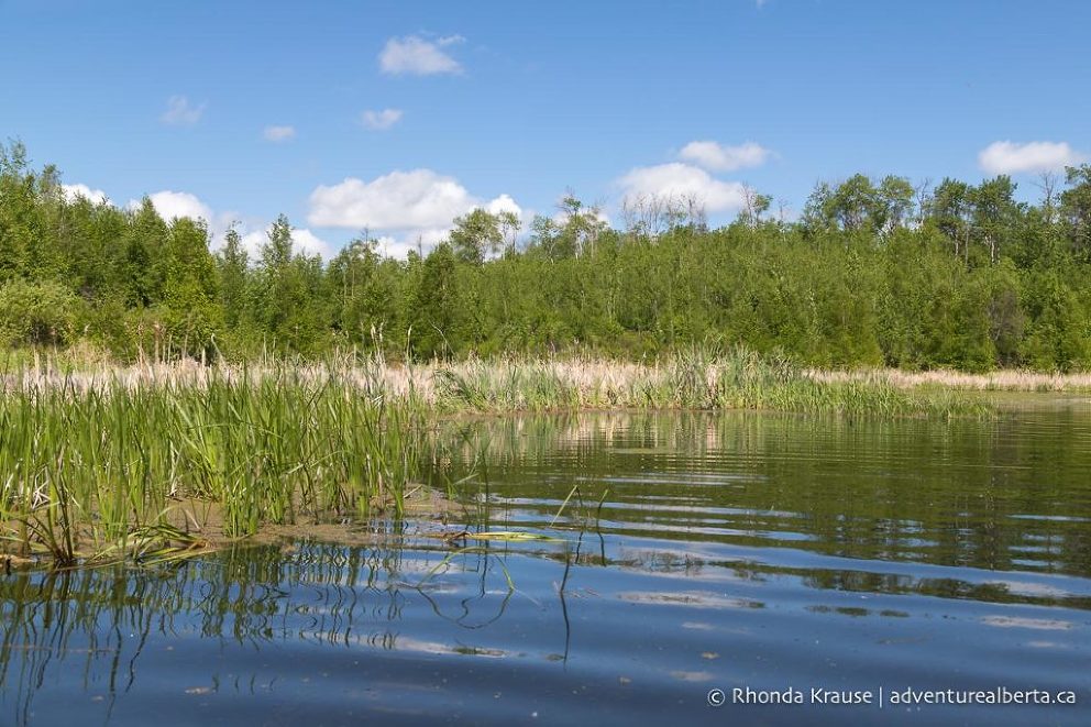 Kayaking Islet Lake- Cooking-Lake Blackfoot Provincial Recreation Area