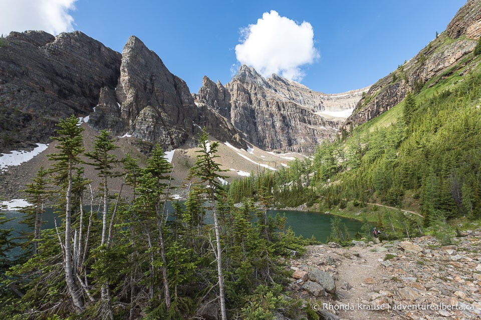 Devil's Thumb Trail via Lake Agnes and Big Beehive- Lake Louise