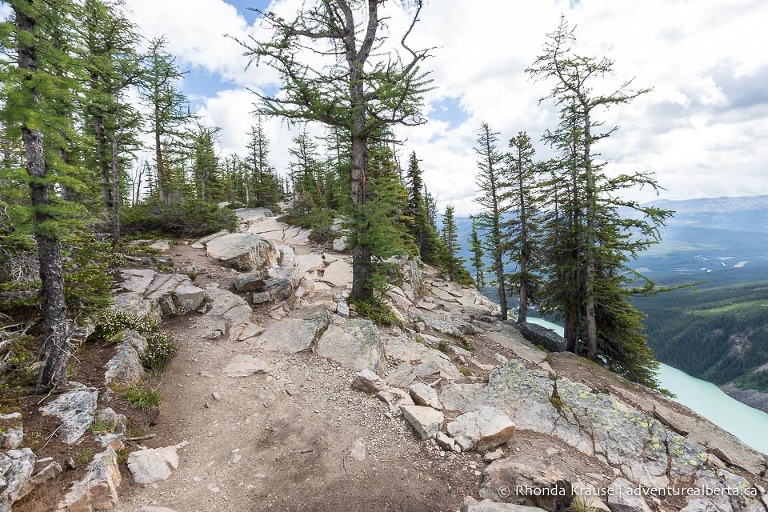 Devil's Thumb Trail via Lake Agnes and Big Beehive- Lake Louise