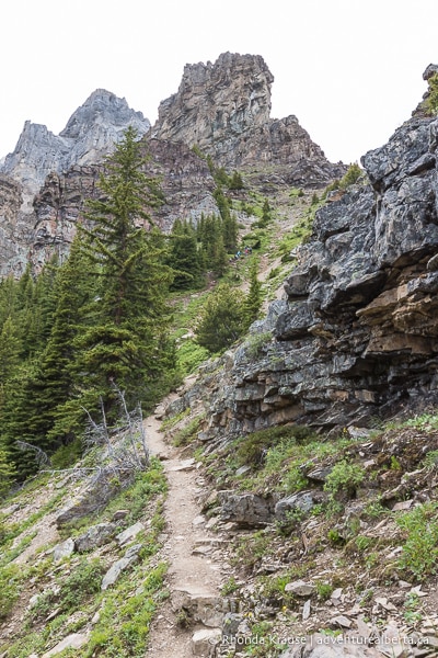 Devil's Thumb Trail via Lake Agnes and Big Beehive- Lake Louise