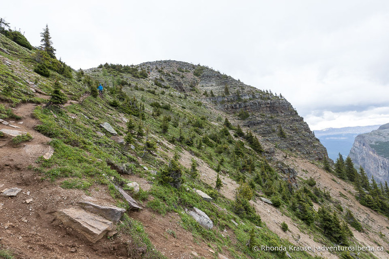 Devil's Thumb Trail via Lake Agnes and Big Beehive- Lake Louise