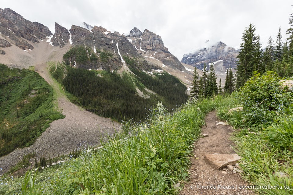 Devil's Thumb Trail via Lake Agnes and Big Beehive- Lake Louise