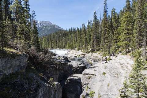 Mistaya Canyon- How to Visit Mistaya Canyon in Banff National Park