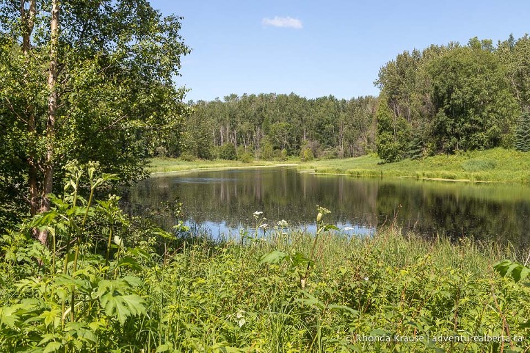 Chickakoo Lake Recreation Area- Visitor and Hiking Guide