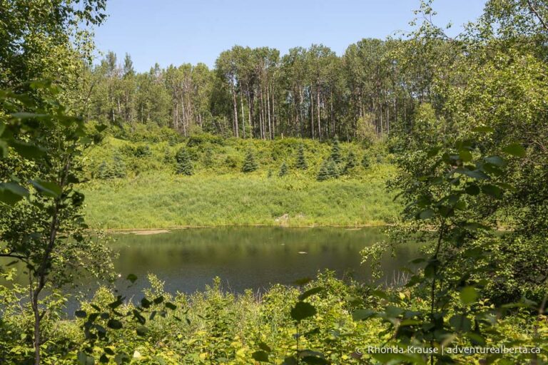 Chickakoo Lake Recreation Area- Visitor and Hiking Guide