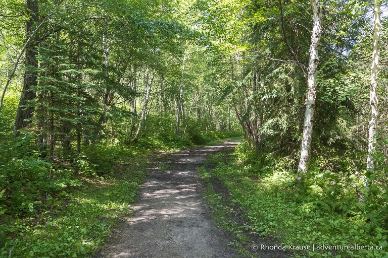 Chickakoo Lake Recreation Area- Visitor and Hiking Guide