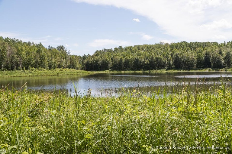 Chickakoo Lake Recreation Area- Visitor and Hiking Guide