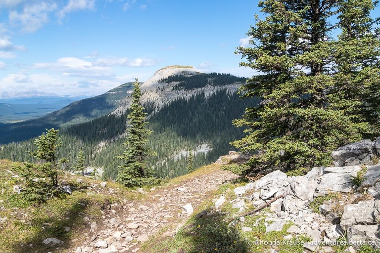 Coliseum Mountain Hike- Guide to Hiking Coliseum Mountain Trail