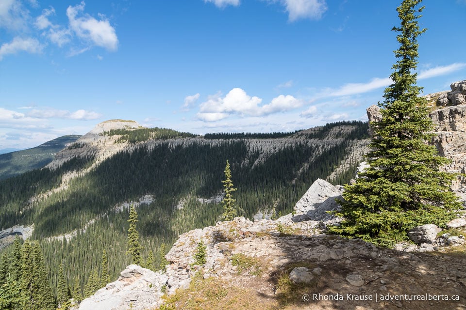 Coliseum Mountain Hike- Guide to Hiking Coliseum Mountain Trail