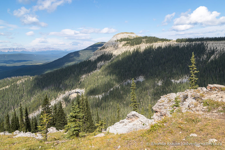 Coliseum Mountain Hike- Guide to Hiking Coliseum Mountain Trail