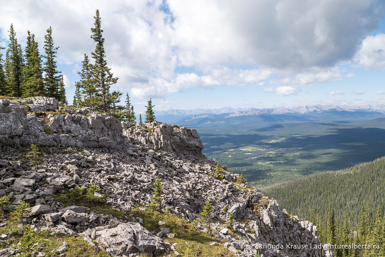 Coliseum Mountain Hike- Guide to Hiking Coliseum Mountain Trail