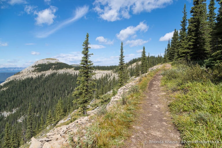 Coliseum Mountain Hike- Guide to Hiking Coliseum Mountain Trail