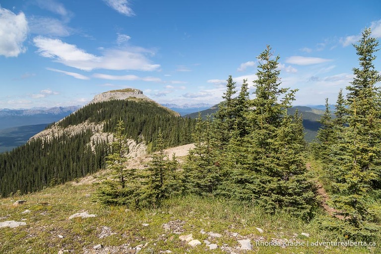 Coliseum Mountain Hike- Guide to Hiking Coliseum Mountain Trail