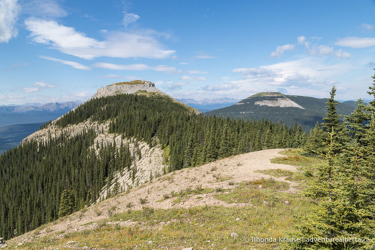 Coliseum Mountain Hike- Guide to Hiking Coliseum Mountain Trail