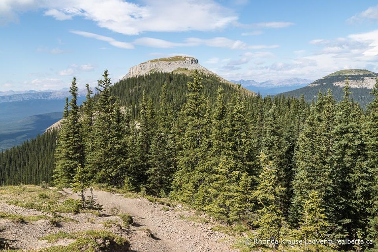 Coliseum Mountain Hike- Guide To Hiking Coliseum Mountain Trail