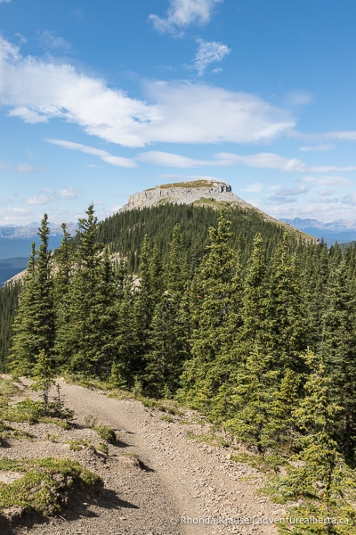 Coliseum Mountain Hike- Guide to Hiking Coliseum Mountain Trail