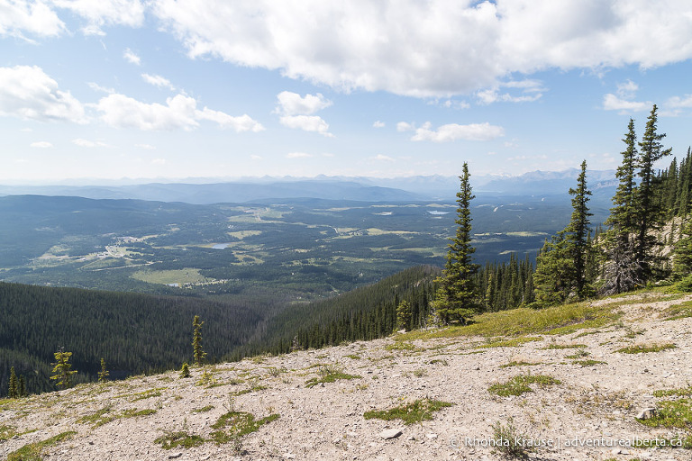 Coliseum Mountain Hike- Guide to Hiking Coliseum Mountain Trail