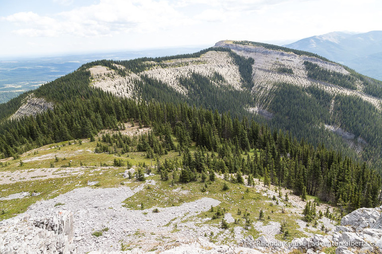 Coliseum Mountain Hike- Guide to Hiking Coliseum Mountain Trail