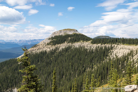 Coliseum Mountain Hike- Guide to Hiking Coliseum Mountain Trail