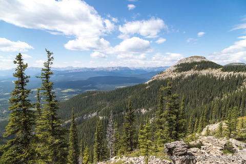 Coliseum Mountain Hike- Guide to Hiking Coliseum Mountain Trail