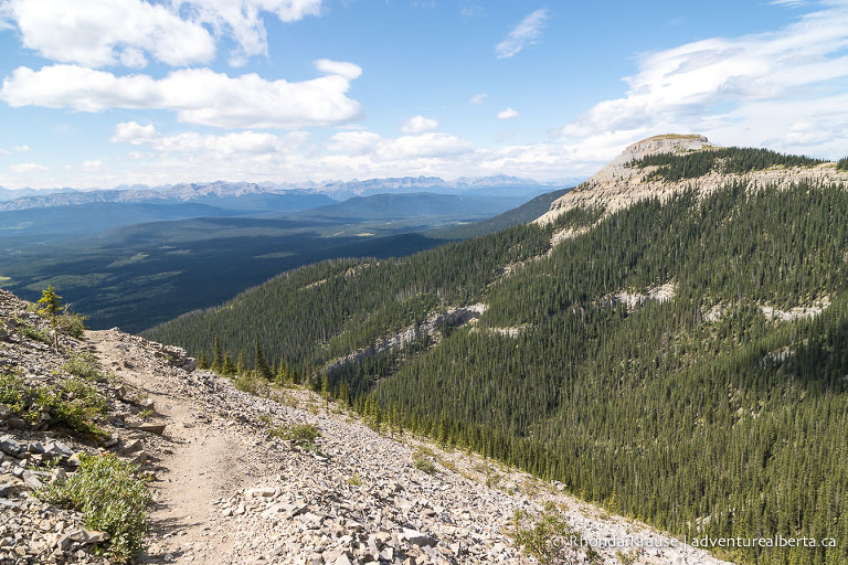 Coliseum Mountain Hike- Guide to Hiking Coliseum Mountain Trail