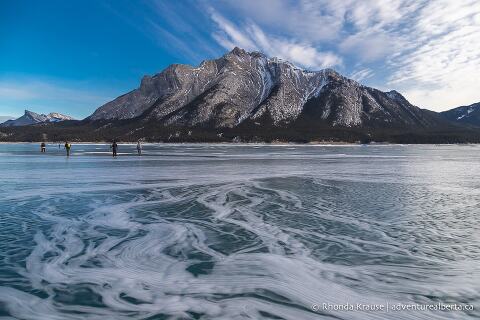 Abraham Lake Bubbles- How To See The Frozen Bubbles In Abraham Lake