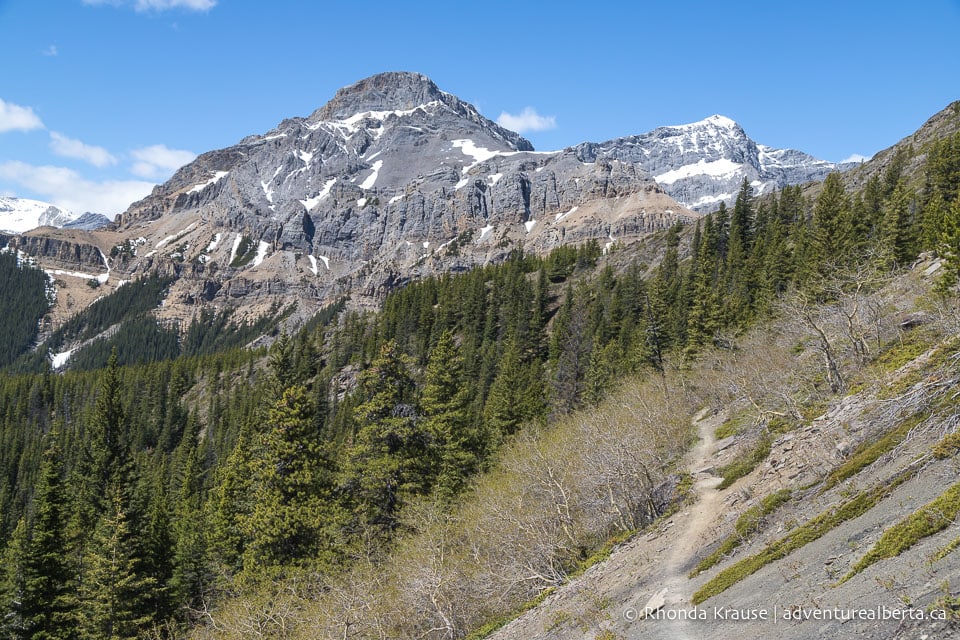 Nordegg Hiking Guide- Hikes Near Nordegg and Abraham Lake