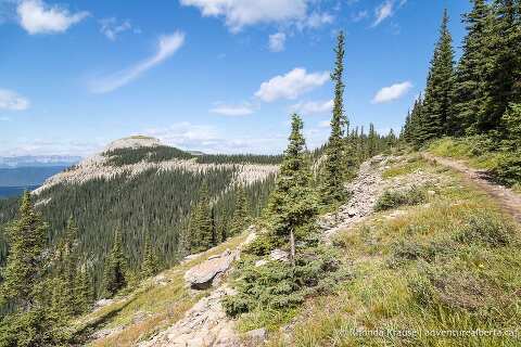 Nordegg Hiking Guide- Hikes Near Nordegg and Abraham Lake