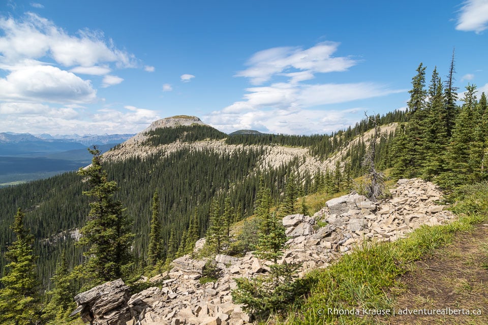 Nordegg Hiking Guide- Hikes Near Nordegg and Abraham Lake