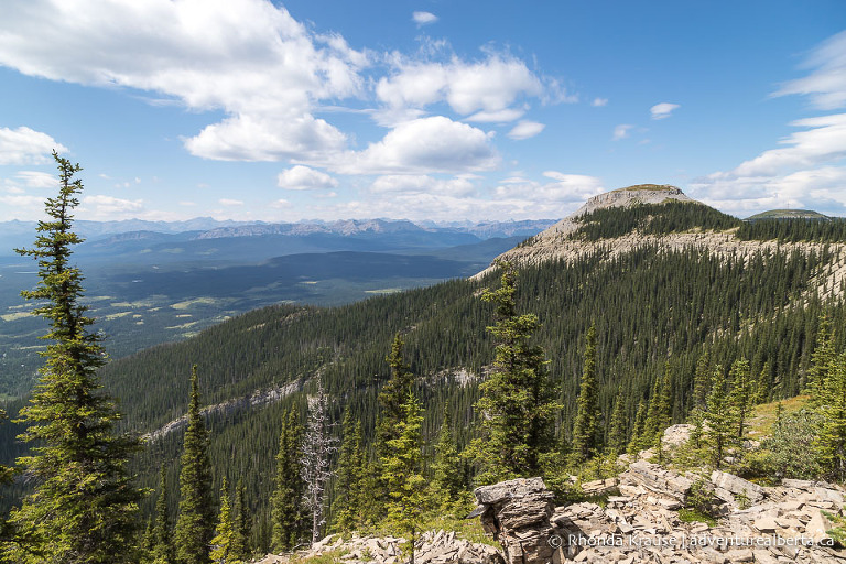 Nordegg Hiking Guide- Hikes Near Nordegg and Abraham Lake