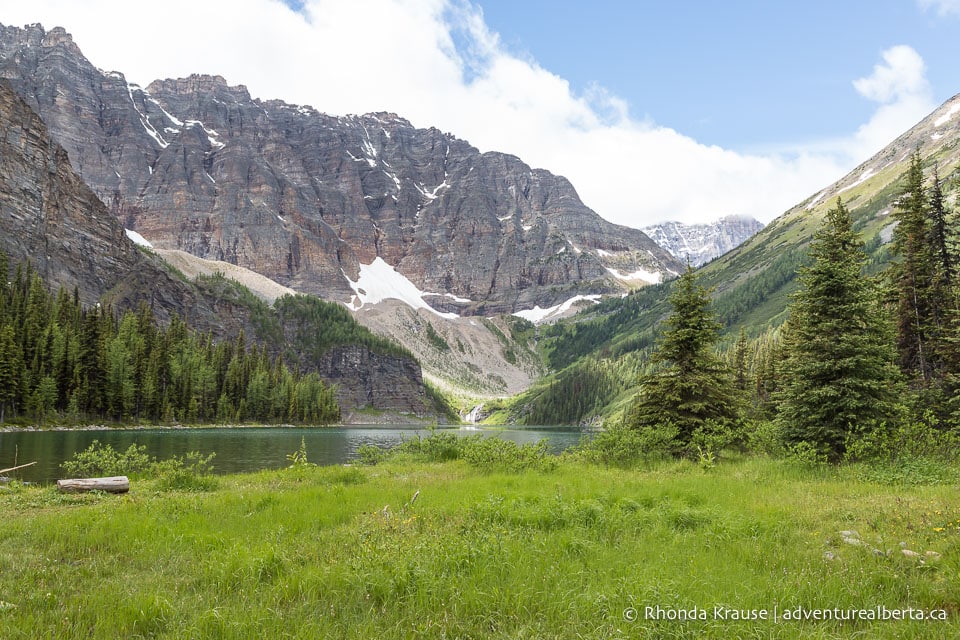 Taylor Lake Hike- Guide to Hiking Taylor Lake Trail in Banff National Park