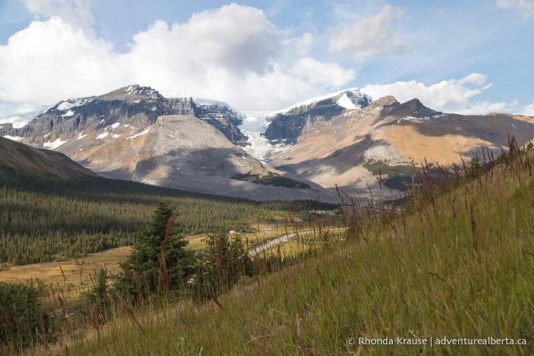 Wilcox Viewpoint Hike via Wilcox Pass Trail- Jasper National Park