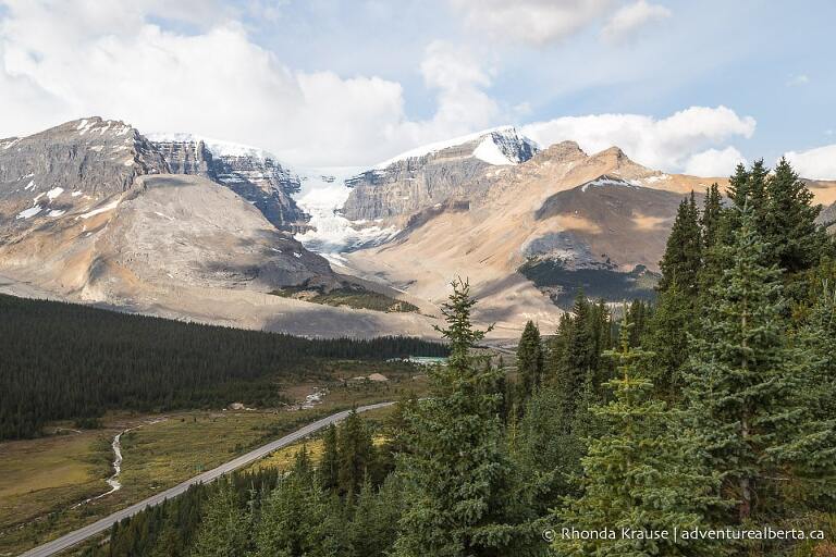 Wilcox Viewpoint Hike via Wilcox Pass Trail- Jasper National Park