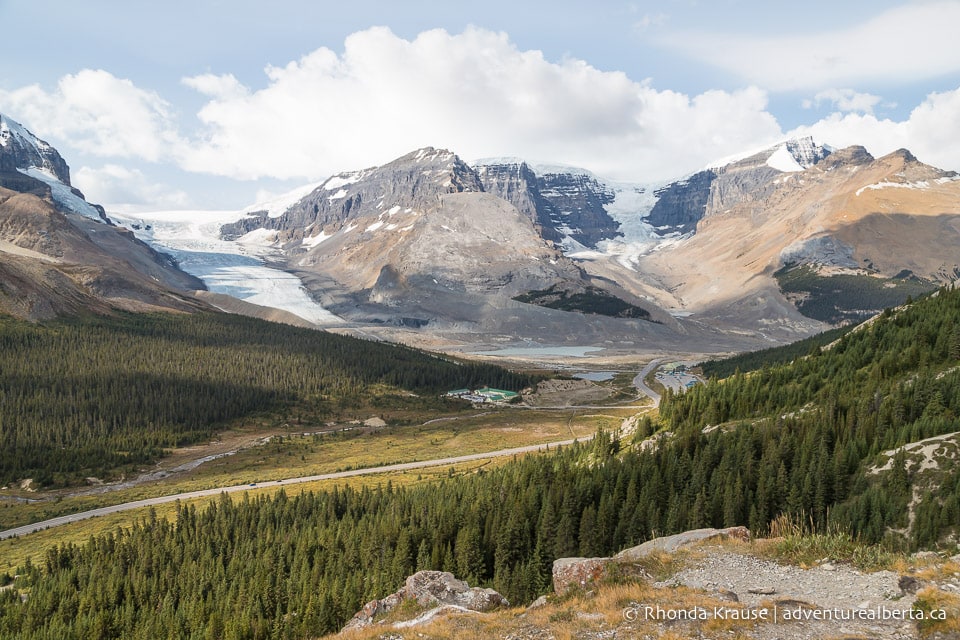 Wilcox Viewpoint Hike via Wilcox Pass Trail- Jasper National Park