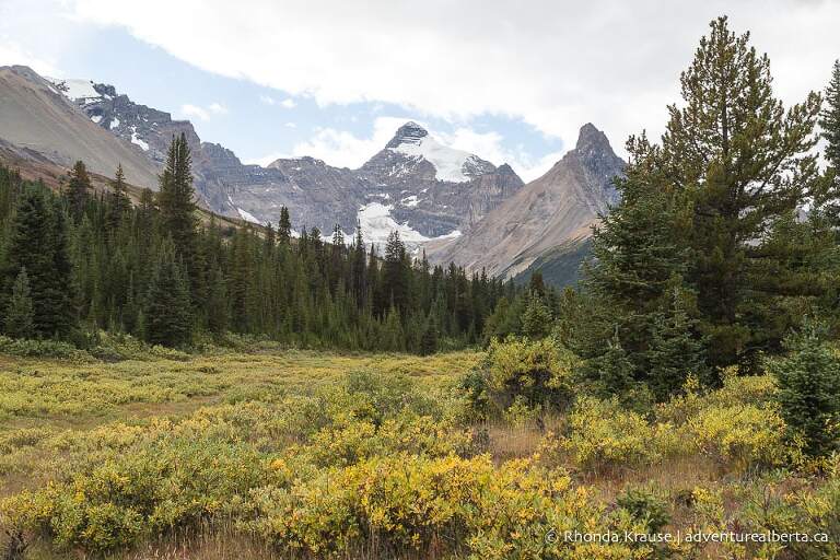 Parker Ridge Hike- Guide to Hiking Parker Ridge Trail in Banff