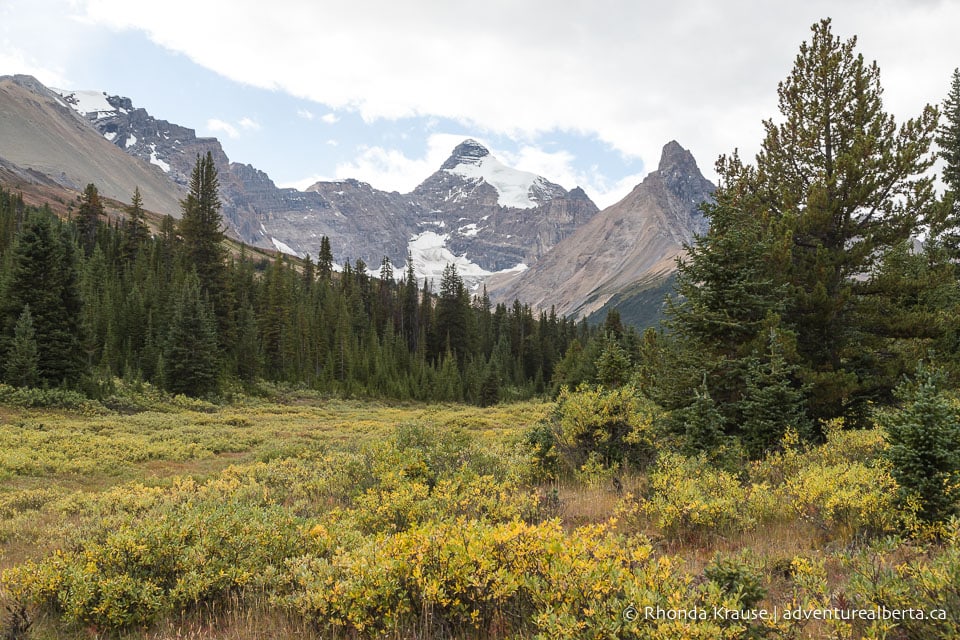 Parker Ridge Hike- Guide to Hiking Parker Ridge Trail in Banff