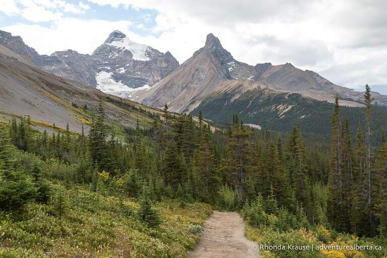 Parker Ridge Hike- Guide to Hiking Parker Ridge Trail in Banff